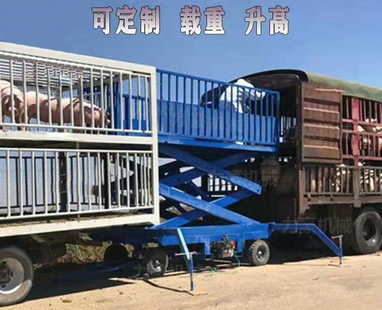 大连卸猪台价格(卸猪台联系山东盛腾)